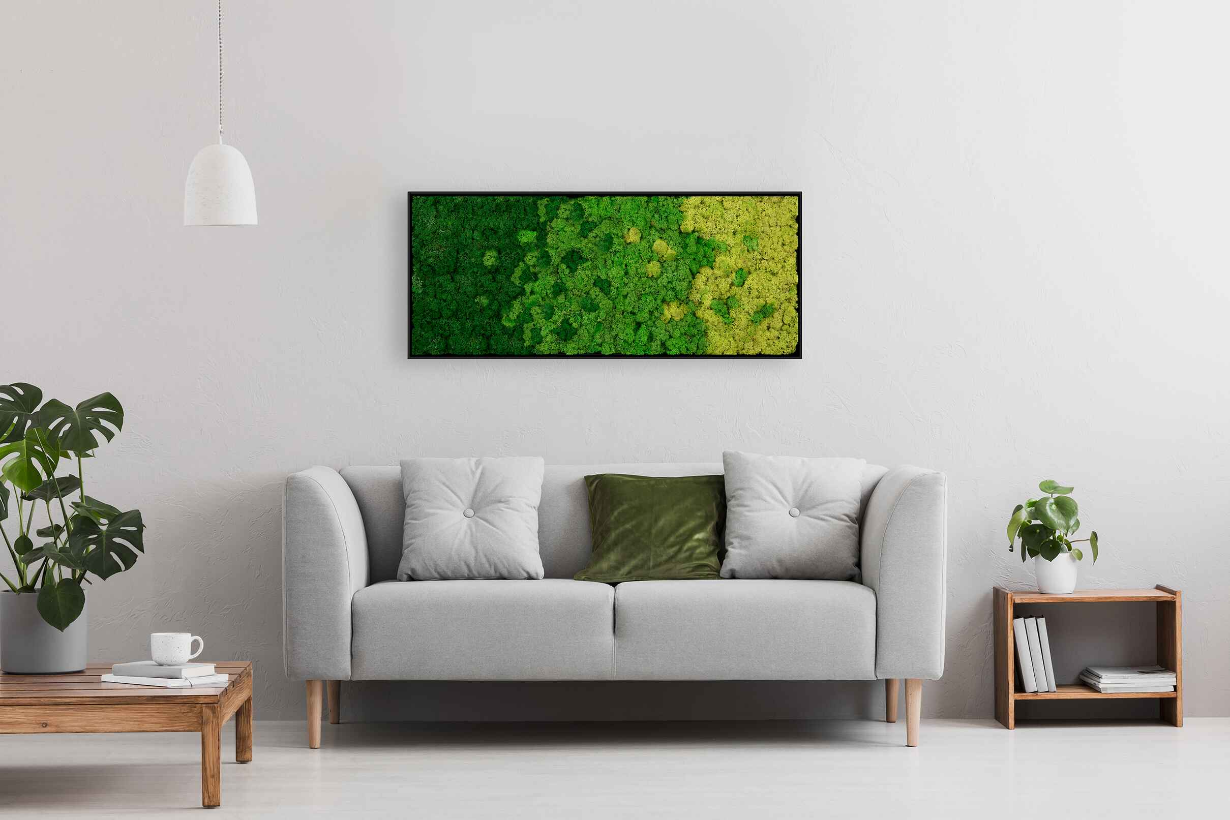 living room with moss frame