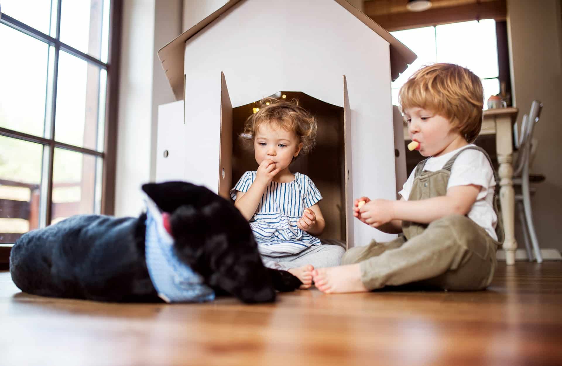 Hardwood Floors for Homes with Kids and Pets